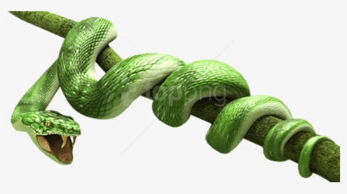 Free Png Download Green Snake Png Images Background - Green Snake Png, Transparent Png, Free Download
