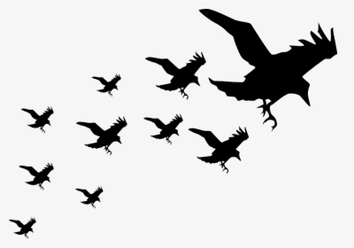Wall Decal Silhouette Bird Image An Enchantment Of - Ravens Png, Transparent Png, Free Download