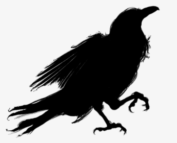 Silhouette Bird American Crow - Crow Silhouette Transparent Background, HD Png Download, Free Download