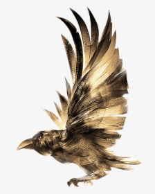 Golden Raven - Ravens Png, Transparent Png, Free Download