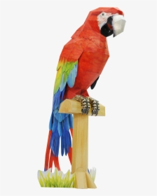 Scarlet Macaw Papercraft, HD Png Download, Free Download