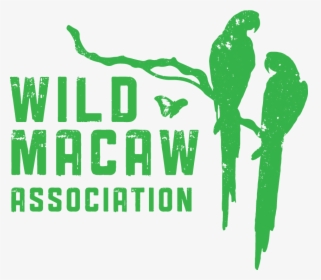 Wild Macaw Association - Graphic Design, HD Png Download, Free Download