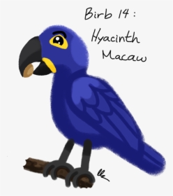 Hyacinth Macaw - Parrot, HD Png Download, Free Download