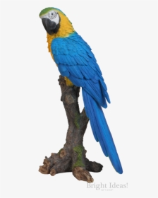 Macaw Bird Png Blue, Transparent Png, Free Download