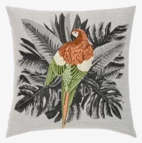 Macaw - Cushion, HD Png Download, Free Download