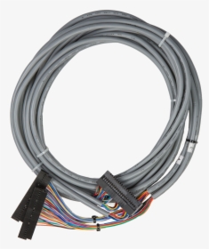 Ethernet Cable , Png Download - Ethernet Cable, Transparent Png, Free Download