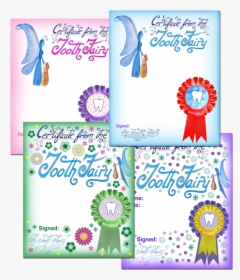 Free Printable Blank Tooth Fairy Certificate Templates - Tooth Fairy Certificate 1st Tooth, HD Png Download, Free Download