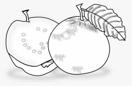 Guava Clipart Black And White - Guava Black And White, HD Png Download, Free Download