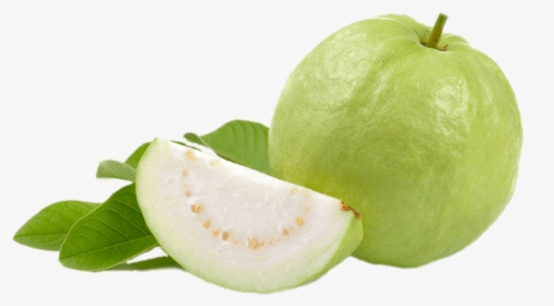 Guava Png - Green Guava, Transparent Png, Free Download