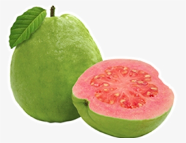 Guava Png - Transparent Guava Png, Png Download, Free Download