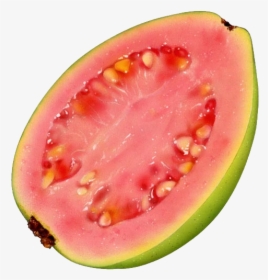 Guava Png - Guava Fruit Illustrations, Transparent Png, Free Download