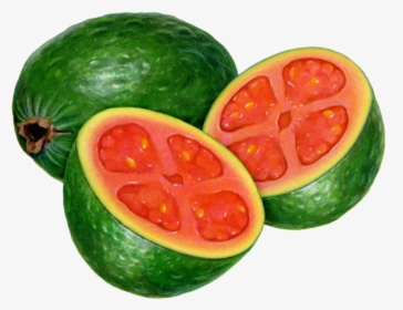 Watermelon Guava, HD Png Download, Free Download