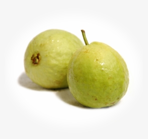 Guava Fruit , Png Download - Guava Fruit, Transparent Png, Free Download