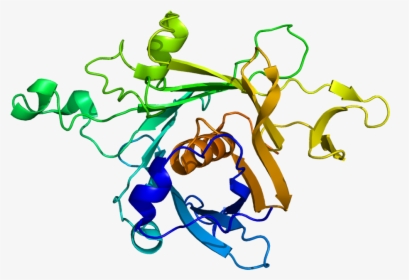 Protein Tub Pdb 1c8z - Tub1 Structure, HD Png Download, Free Download