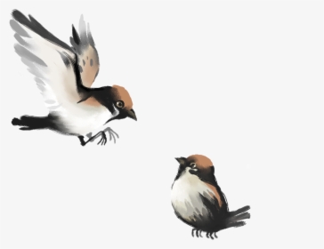 Transparent Sparrow Clipart - Birds In Flight Chinese Brush Painting, HD Png Download, Free Download
