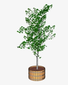 Large Wooden Planter - Tree In Planter Png, Transparent Png, Free Download