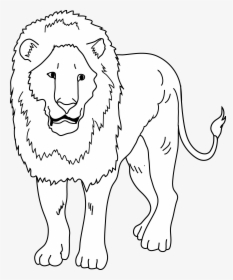 Drawing Lions Outline - Clip Art, HD Png Download, Free Download