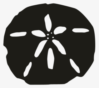Smock Sand Dollar Motif - Sand Dollar Clipart Black And White, HD Png Download, Free Download