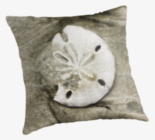 Sand Dollar Png - Cushion, Transparent Png, Free Download