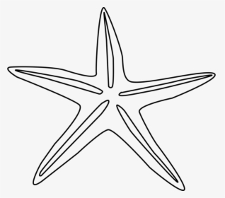 Free Clipart Sand Dollar Outl - Star Shape Object Drawing, HD Png Download, Free Download