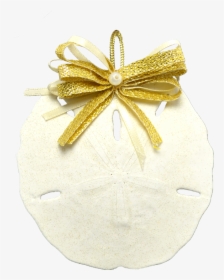 Round Sand Dollar Christmas Holidays Ornament 3-4" - Pumpkin, HD Png Download, Free Download