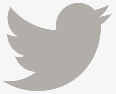 White Twitter Png - Twitter New Logo 2019, Transparent Png, Free Download