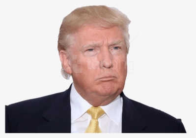 Donald Trump Picture White Background, HD Png Download, Free Download