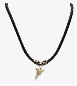 Necklace 18" Braided Black Shark Tooth 1" - Necklace, HD Png Download, Free Download
