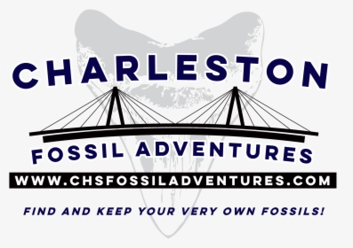 Charleston Fossil Adventures, HD Png Download, Free Download