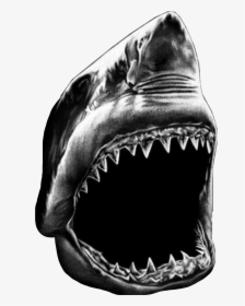 #shark #greatwhite #blackandwhite #teeth #freetoedit - Great White Shark, HD Png Download, Free Download