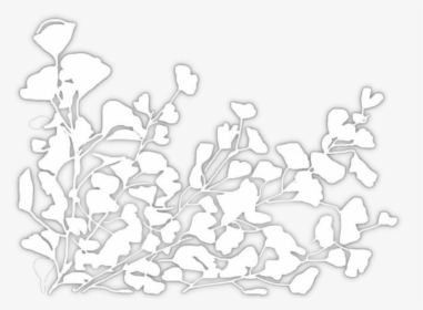 Flower Overlay I Suppose So Sticker Stickers - White Flowers Transparent Overlays, HD Png Download, Free Download