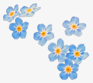 #overlay #overlays #flower #flowers #blue #editinghelp - Forget Me Not Png, Transparent Png, Free Download