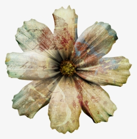 Transparent Flower Overlay Png - Clematis, Png Download, Free Download