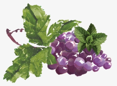 Transparent Uvas Png - Natural Grape Syrup, Png Download, Free Download