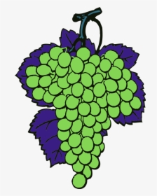 Grapes Vine Fruit - Joshua And Caleb Verse, HD Png Download, Free Download