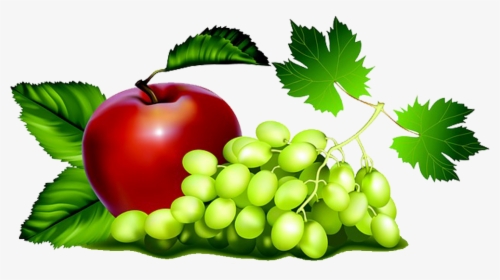 Grapes And Apples Clipart, HD Png Download, Free Download
