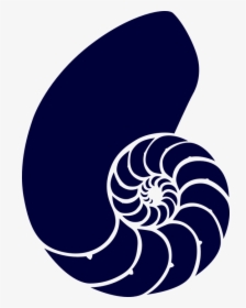 Shell, Sea, Blue, Spiral, Navy, Dark, Animal, Fossil - Nautilus Shell Clipart, HD Png Download, Free Download
