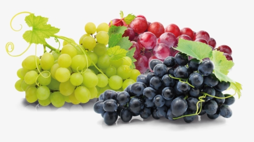 Grape Transparent Table, HD Png Download, Free Download