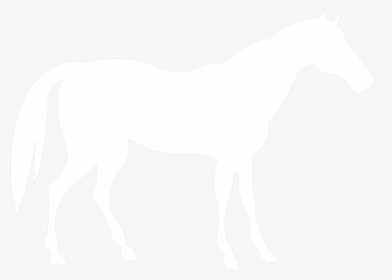 Galloping Horse White Silhouette Png, Transparent Png, Free Download