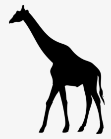Giraffe, Animal, The Silhouette, Safari, Africa - Giraffe African Animal Silhouette, HD Png Download, Free Download