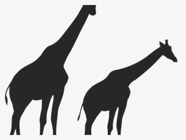 Africa Clipart Giraffe - Giraffe Logo Silhouette Png, Transparent Png, Free Download