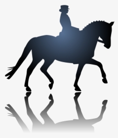 Dressage Horse Head Transparent Background, HD Png Download, Free Download