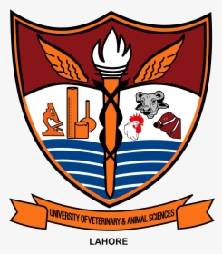 University Of Veterinary And Animal Sciences Logo, HD Png Download, Free Download