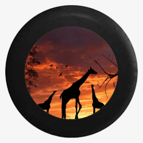 Transparent Giraffe Silhouette Png - Safari Giraffe Backgrounds Png, Png Download, Free Download