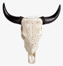 Carved Cow Skull // Xl Horns - Horn, HD Png Download, Free Download