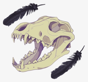 17 Best Croc Images - Wolf Skull Transparent Background, HD Png Download, Free Download