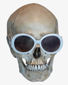 Skull Free Download Png - - Real Skull With Sunglasses, Transparent Png, Free Download
