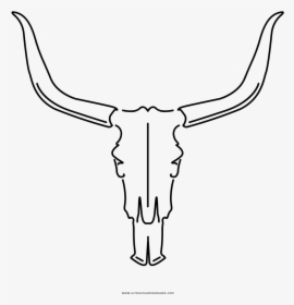 Animal Skull Coloring Page, HD Png Download, Free Download