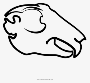 Animal Skull Coloring Page - Clip Art Animal Skull, HD Png Download, Free Download