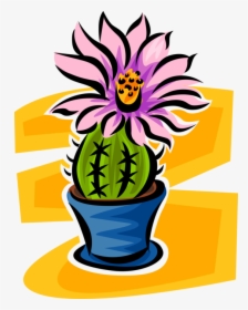 Vector Illustration Of Botanical Flowering Cactus Plant - Houseplant, HD Png Download, Free Download